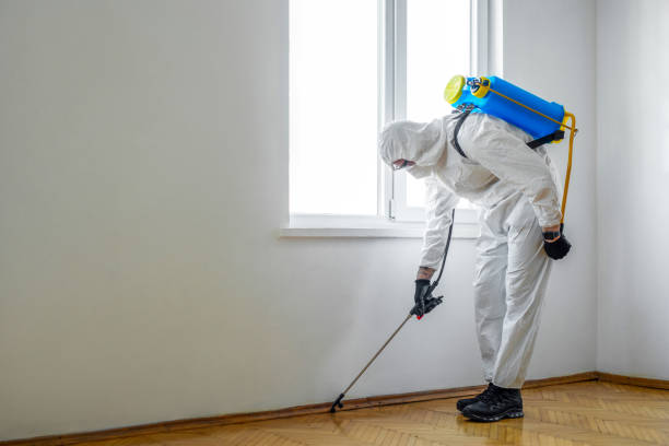 Best Commercial Pest Control  in Winnebago, IL